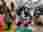 thumbnail_IMG-20221021-WA0046