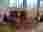 IMG-20221104-WA0001