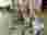 thumbnail_IMG-20221021-WA0005